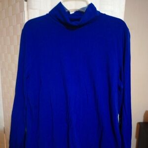 Woman's long sleeve blue top